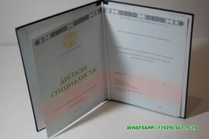 Купить диплом Балаковского филиала СГЮА — Балаковского филиала Саратовской государственной юридической академии в Керчи